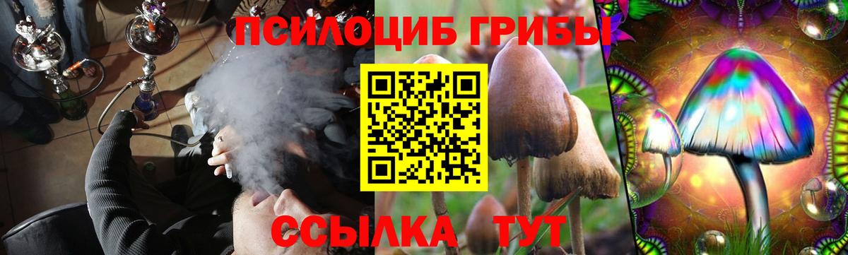 Псилоцибиновые грибы прущие грибы  Вход с VPN  наркотики  Татарск 